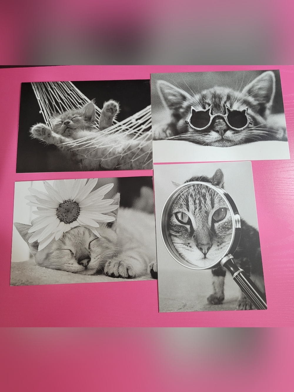 Vintage Classic Cats By David McEnery Set 19 Blank Cards And Envelopes (0766)